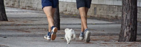 run-769x260