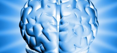 shine_brain-769x260