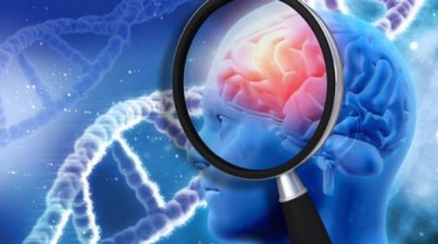 investigacion-beta-amiloides